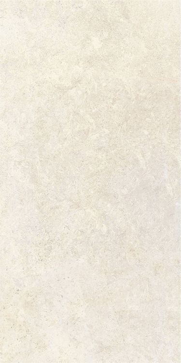 OL Limestone Avorio Matte 24 x 48